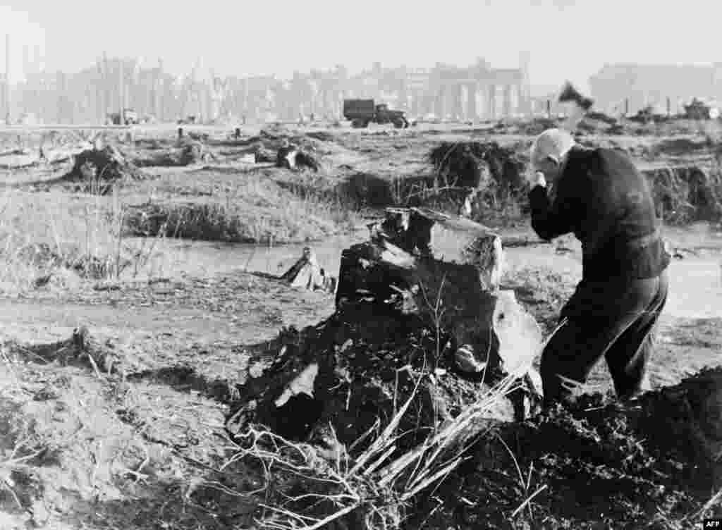 A man hacks chunks of wood from a tree stump in Berlin&rsquo;s famous Tiergarten.