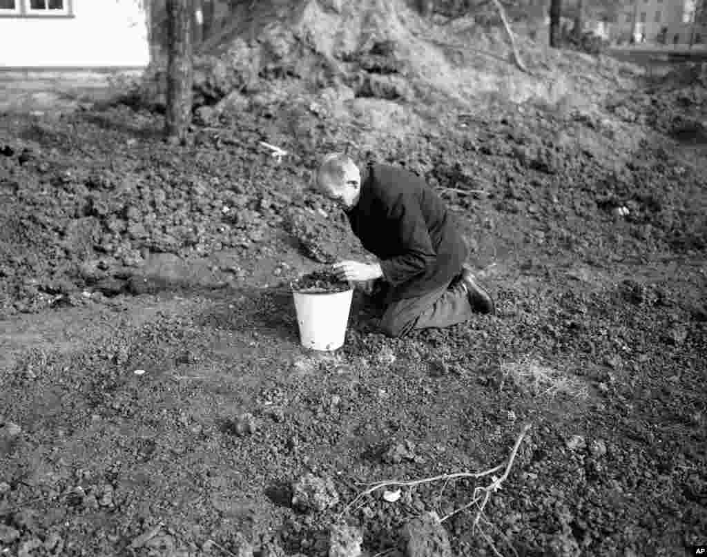 A man picks nuggets of coal out of a slag heap. &nbsp;